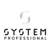 System Professional