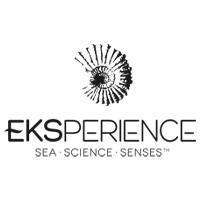 Eksperience